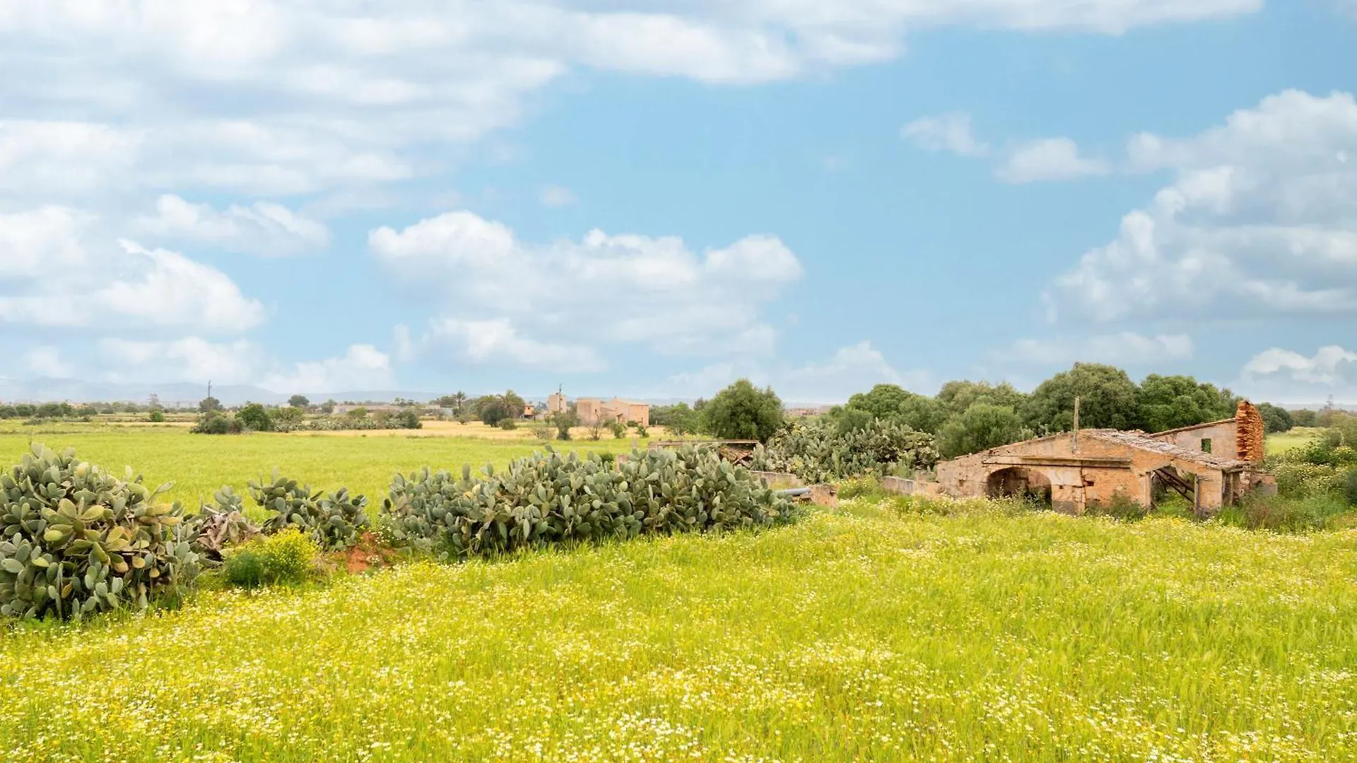 Finca Sant Blai Nou 坎波斯